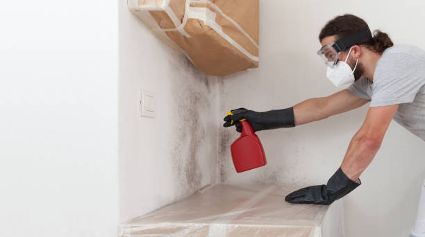 Professional Bathroom Mold Removal technician working in Greenbelt, MD