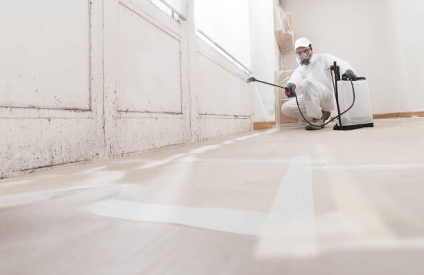 24/7 Emergency Bathroom Mold Removal experts in Greenbelt, MD