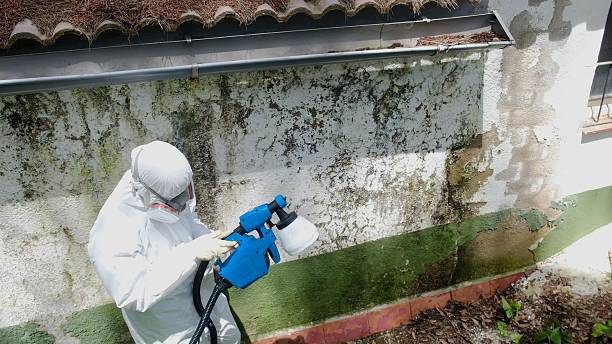 Top rated local Bathroom Mold Removal specialists in Greenbelt, MD